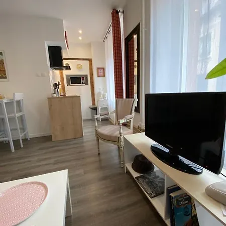 L'ours De - En Centre Κολμάρ