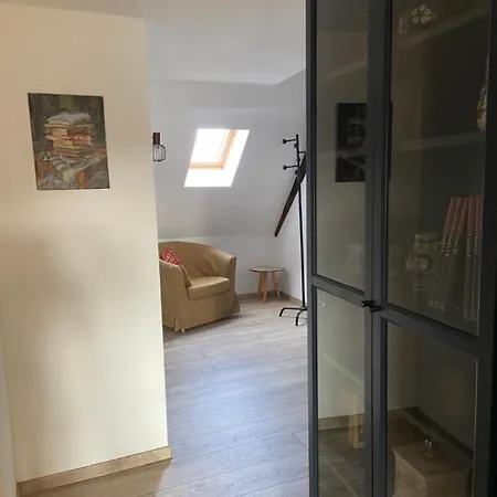 L'ours De - En Centre Colmar