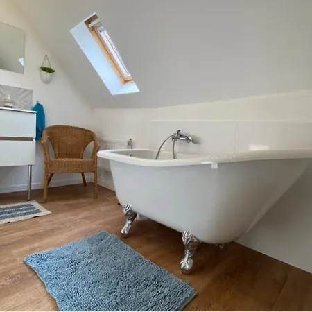 L'ours De - En Centre * Κολμάρ