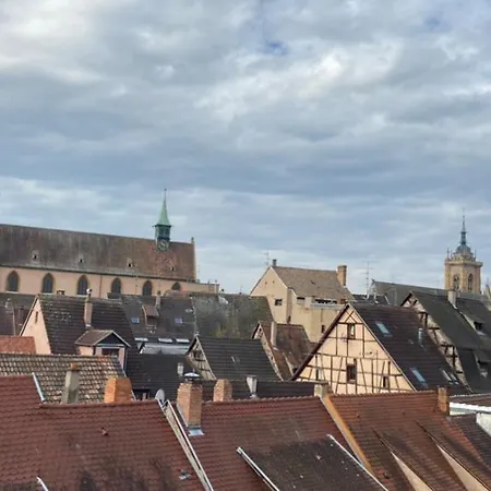 L'ours De - En Centre *