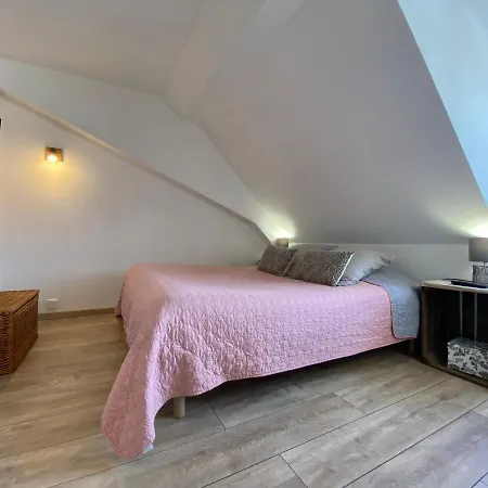 L'ours De - En Centre Κολμάρ