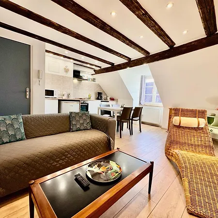 L'ours De - En Centre Colmar