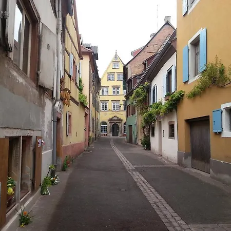 L'ours De - En Centre Κολμάρ