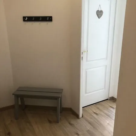 L'ours De - En Centre * Colmar