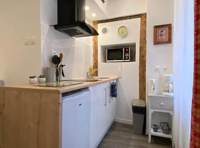 Apartman L'ours De - En Centre *