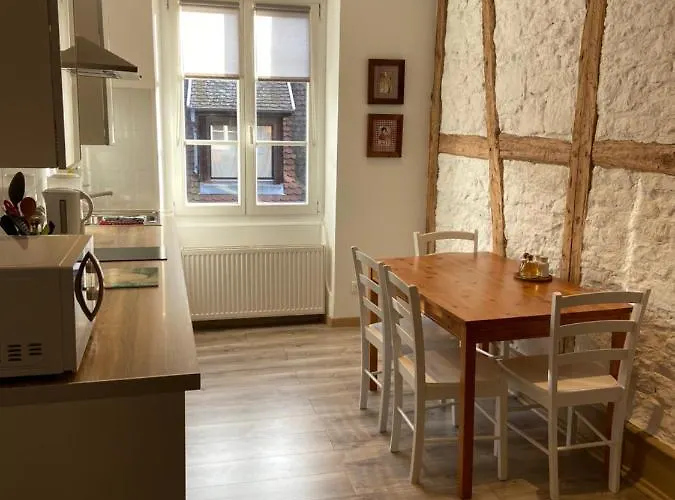 L'ours De - En Centre Appartement *