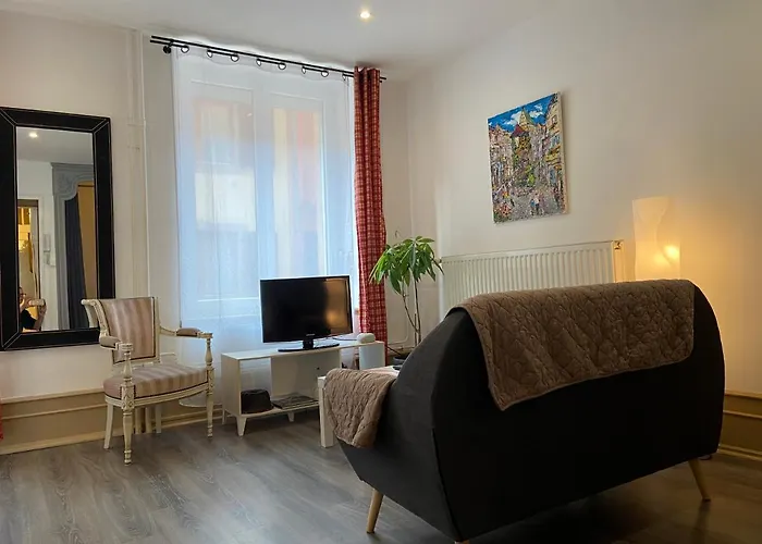 L'ours De - En Centre * Colmar