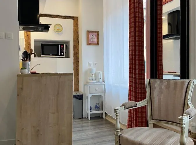 Apartman L'ours De - En Centre *