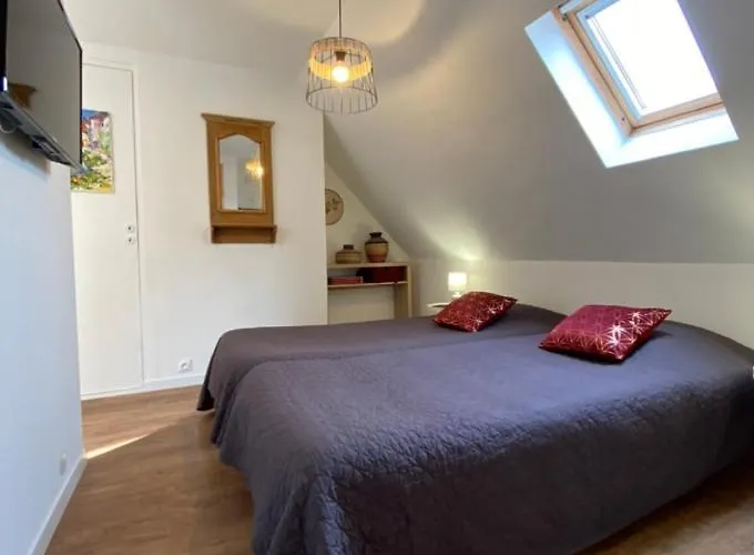 L'ours De - En Centre Colmar