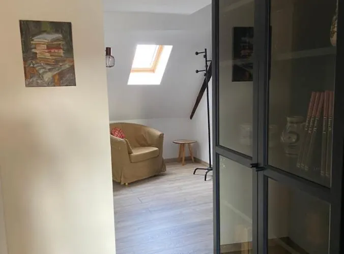 L'ours De - En Centre Colmar