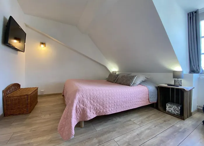 L'ours De - En Centre Colmar