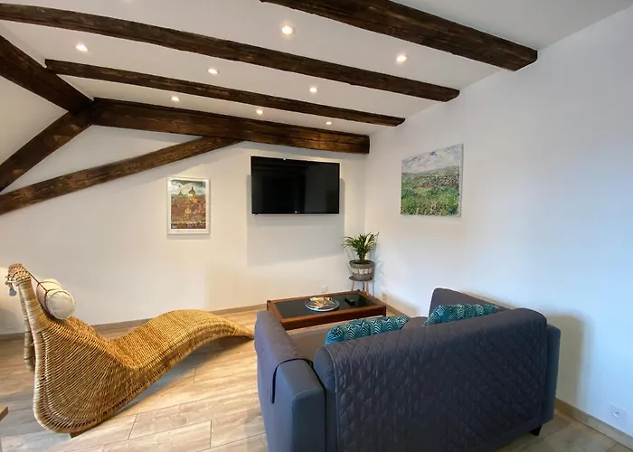 L'ours De - En Centre Apartman Colmar