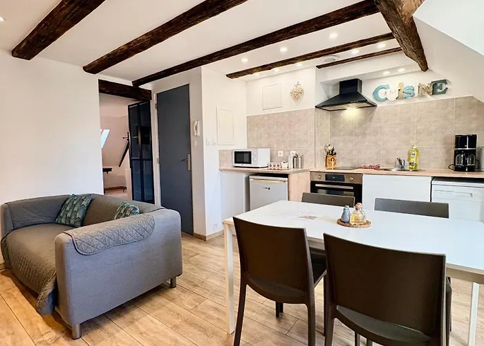 Apartman L'ours De - En Centre Colmar