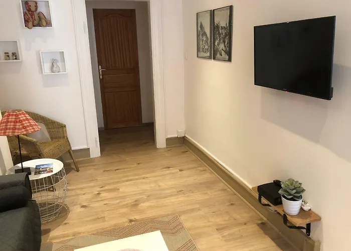 L'ours De - En Centre Colmar